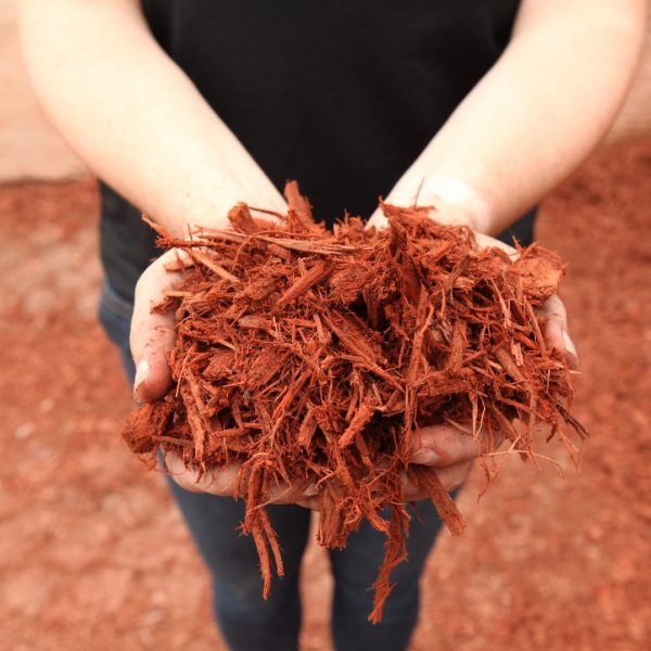 111200 Red Dyed Mulch
