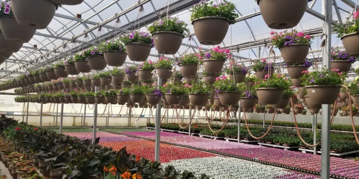 Midwest Solutions 8211 Nursery and Greenhouse growers